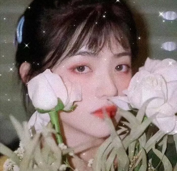 随风而逝的记忆