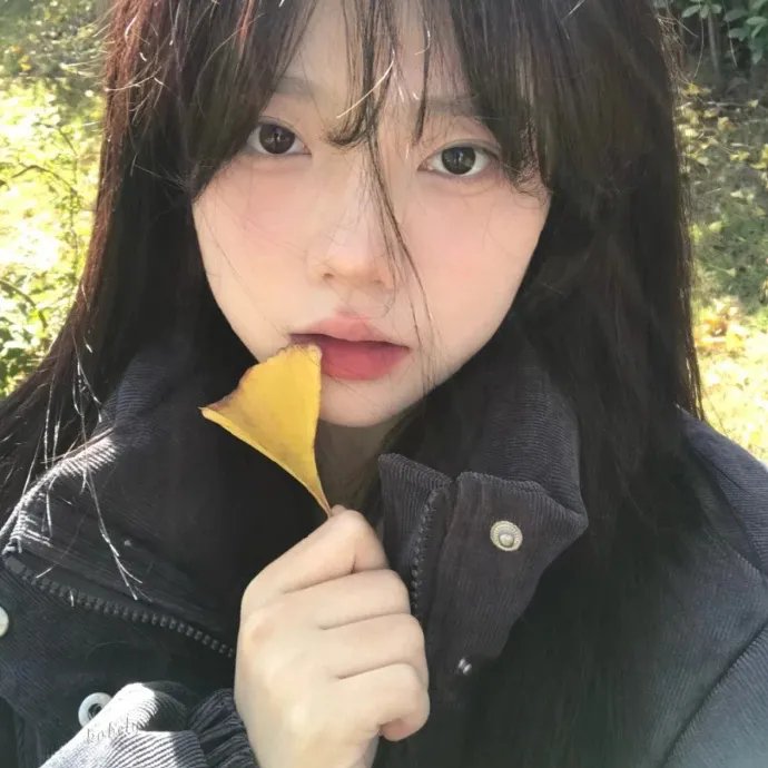我为琴狂